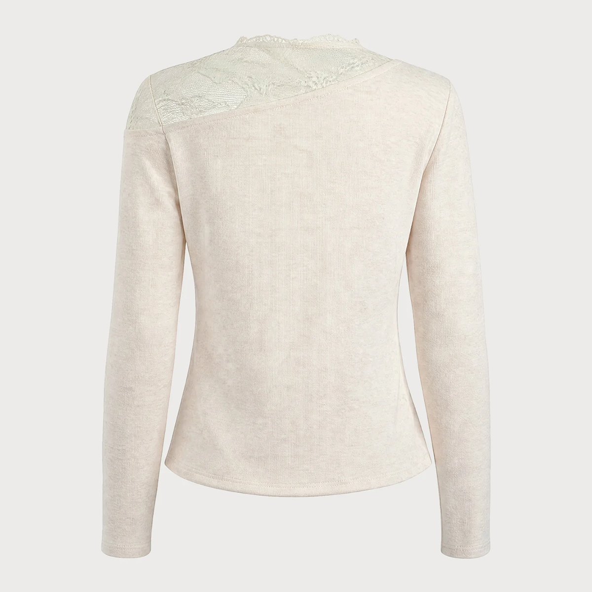 Beige Turtle Lace See Through Long Sleeve Tee